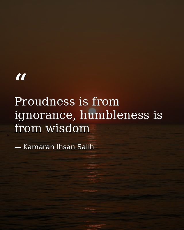 Proudness is from ignorance, humbleness is from wisdom — Kamaran Ihsan Salih