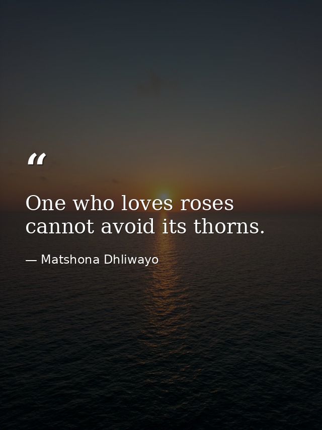 One who loves roses cannot avoid its thorns. — Matshona Dhliwayo