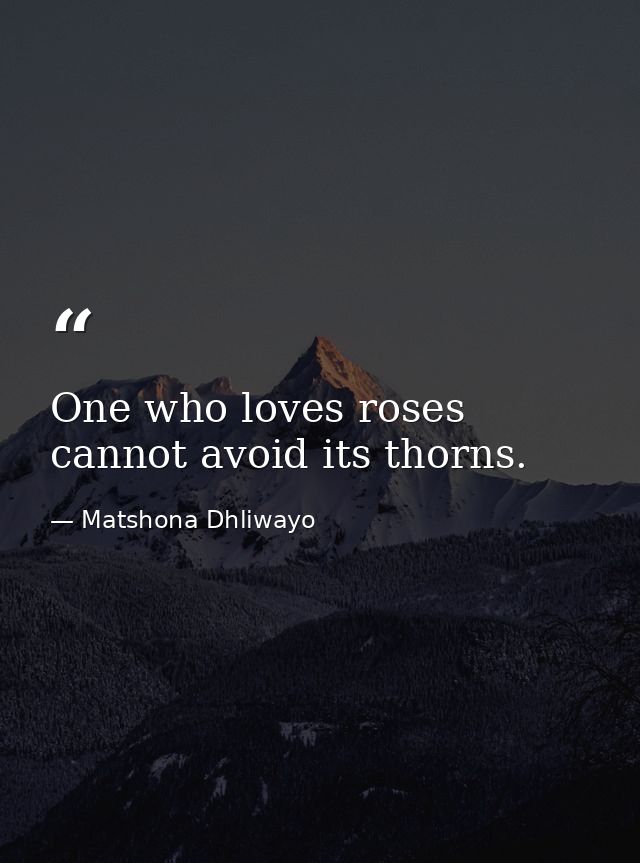One who loves roses cannot avoid its thorns. — Matshona Dhliwayo