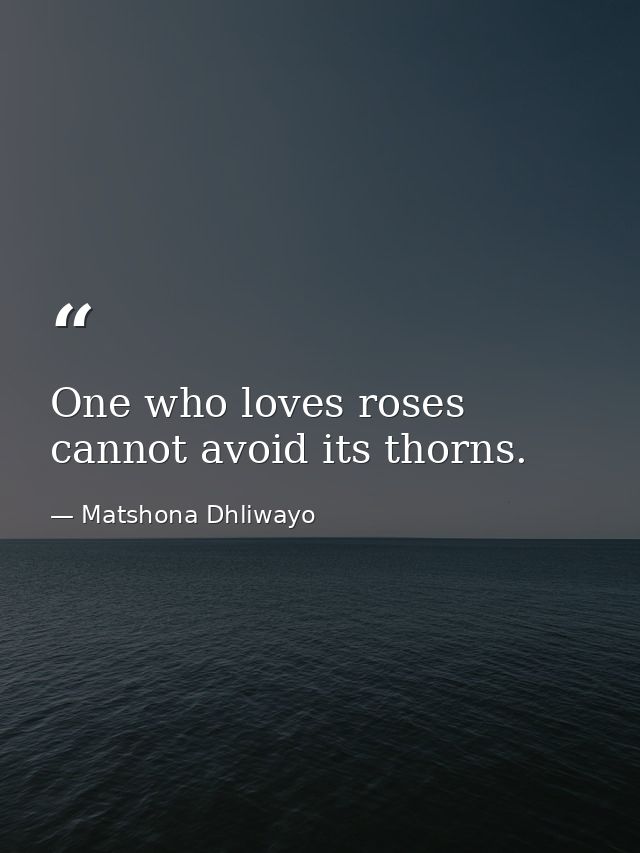 One who loves roses cannot avoid its thorns. — Matshona Dhliwayo