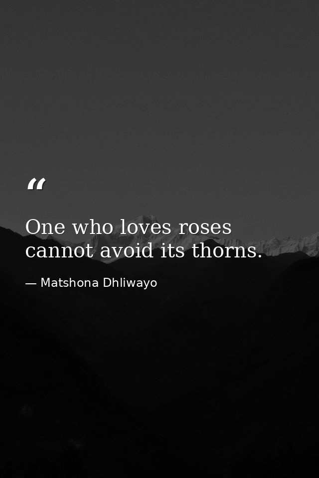 One who loves roses cannot avoid its thorns. — Matshona Dhliwayo