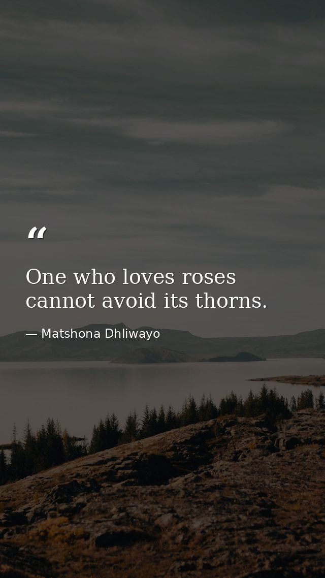 One who loves roses cannot avoid its thorns. — Matshona Dhliwayo