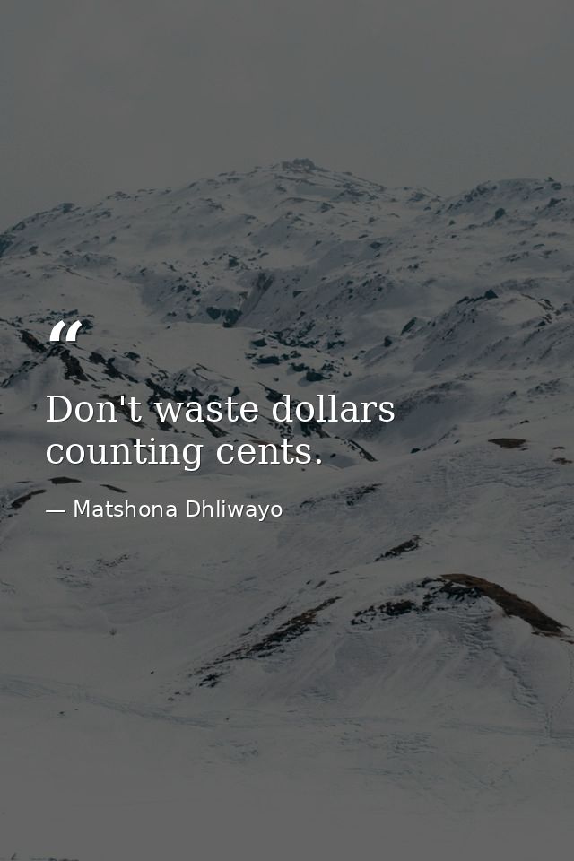 Don't waste dollars counting cents. — Matshona Dhliwayo