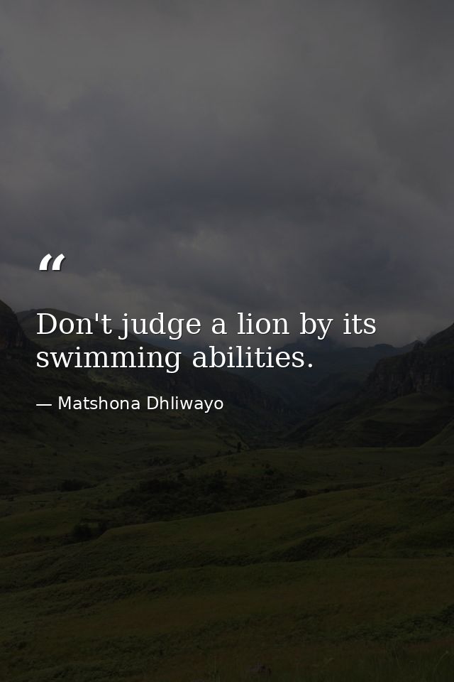 Don't judge a lion by its swimming abilities. — Matshona Dhliwayo