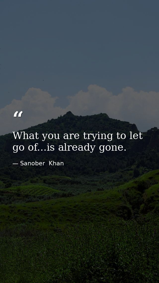 What you are trying to let go of...is already gone. — Sanober  Khan