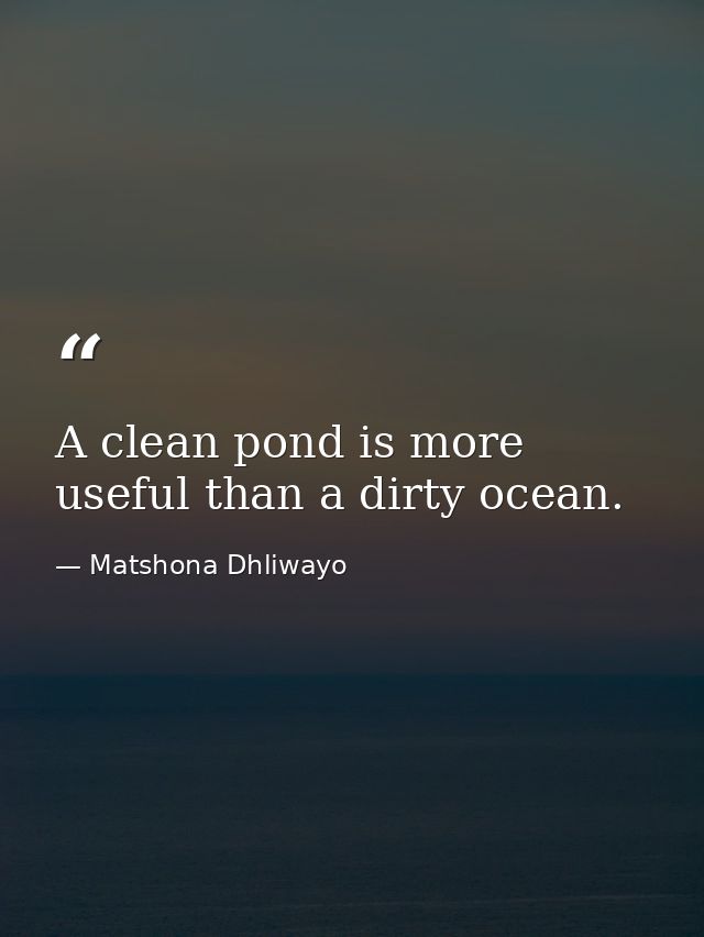 A clean pond is more useful than a dirty ocean. — Matshona Dhliwayo