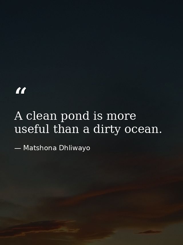 A clean pond is more useful than a dirty ocean. — Matshona Dhliwayo