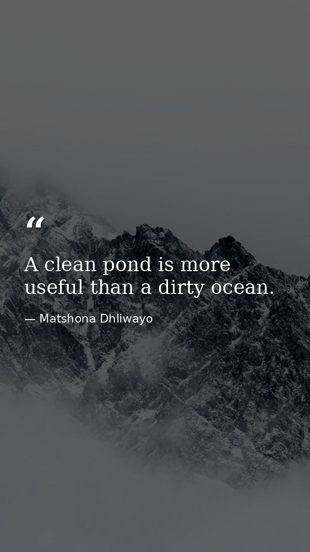 A clean pond is more useful than a dirty ocean. — Matshona Dhliwayo