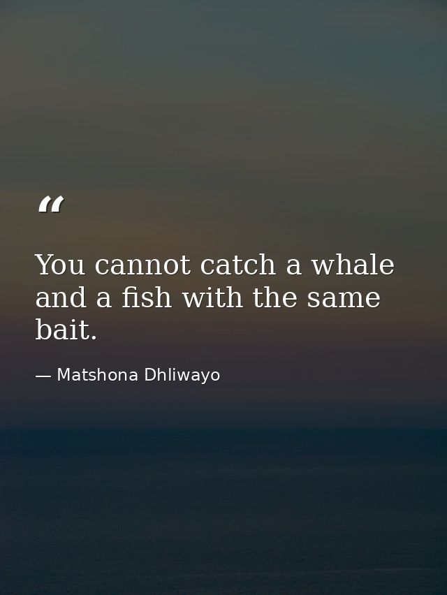 You cannot catch a whale and a fish with the same bait. — Matshona Dhliwayo