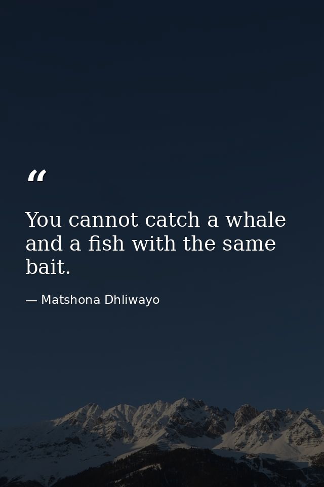 You cannot catch a whale and a fish with the same bait. — Matshona Dhliwayo