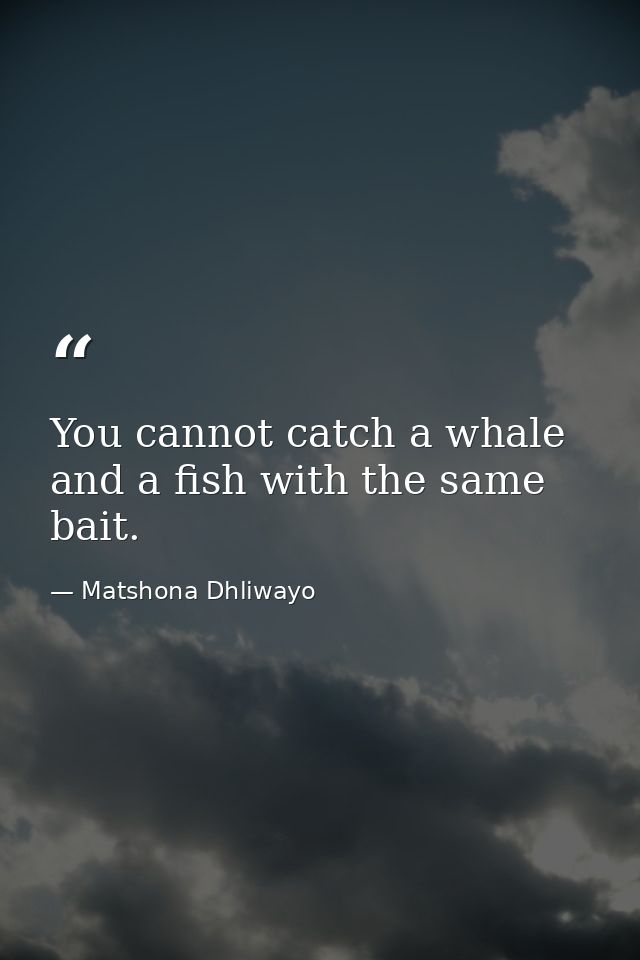 You cannot catch a whale and a fish with the same bait. — Matshona Dhliwayo