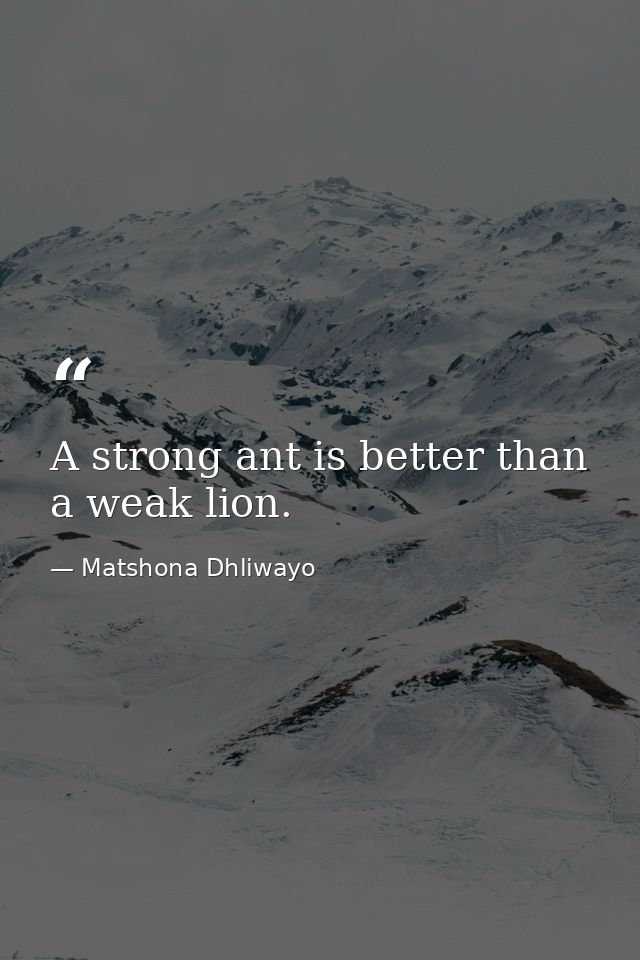 A strong ant is better than a weak lion. — Matshona Dhliwayo