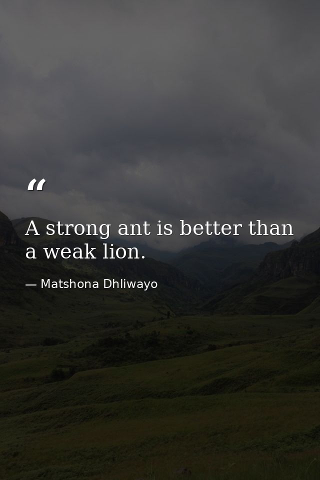 A strong ant is better than a weak lion. — Matshona Dhliwayo