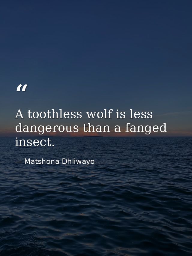 A toothless wolf is less dangerous than a fanged insect. — Matshona Dhliwayo