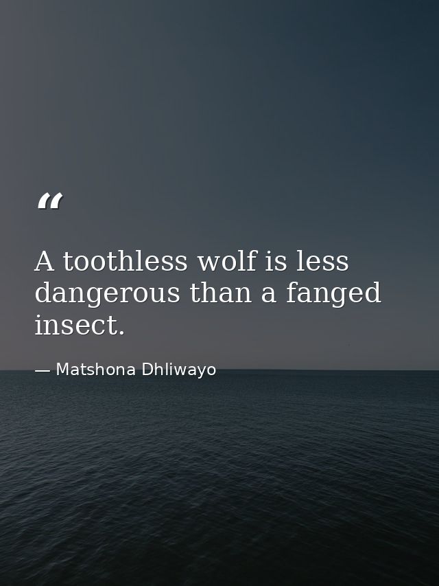 A toothless wolf is less dangerous than a fanged insect. — Matshona Dhliwayo