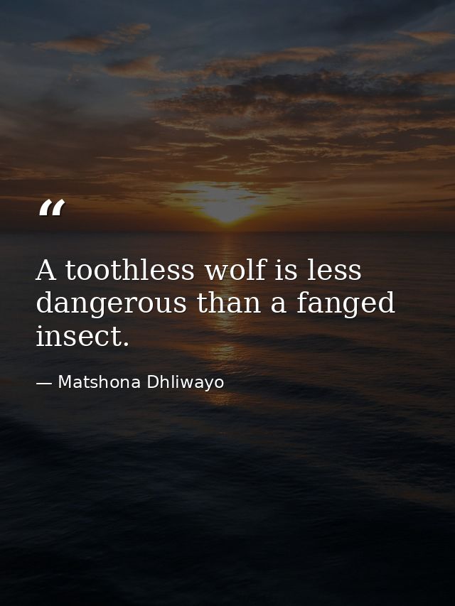 A toothless wolf is less dangerous than a fanged insect. — Matshona Dhliwayo