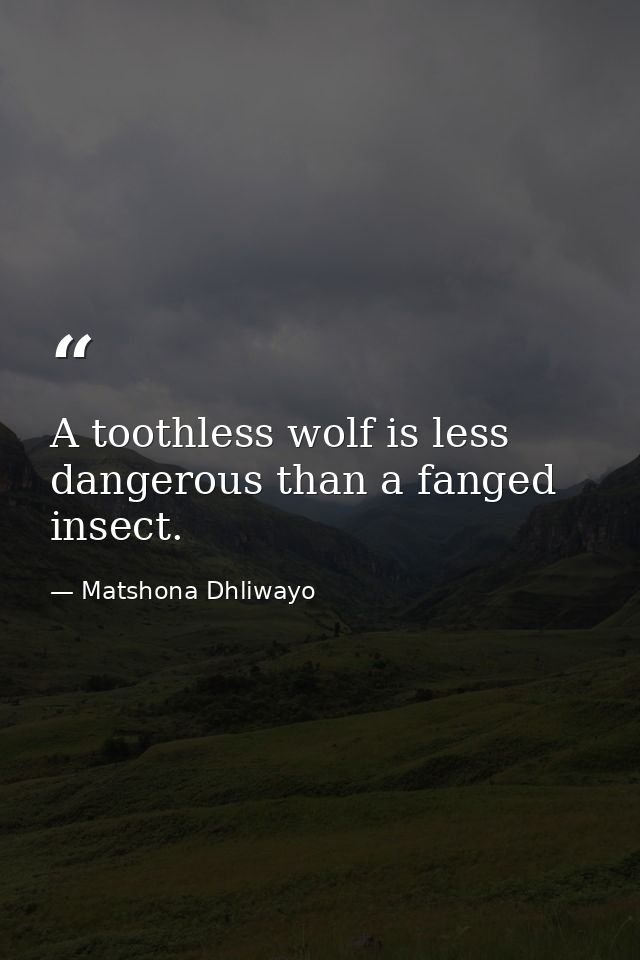 A toothless wolf is less dangerous than a fanged insect. — Matshona Dhliwayo