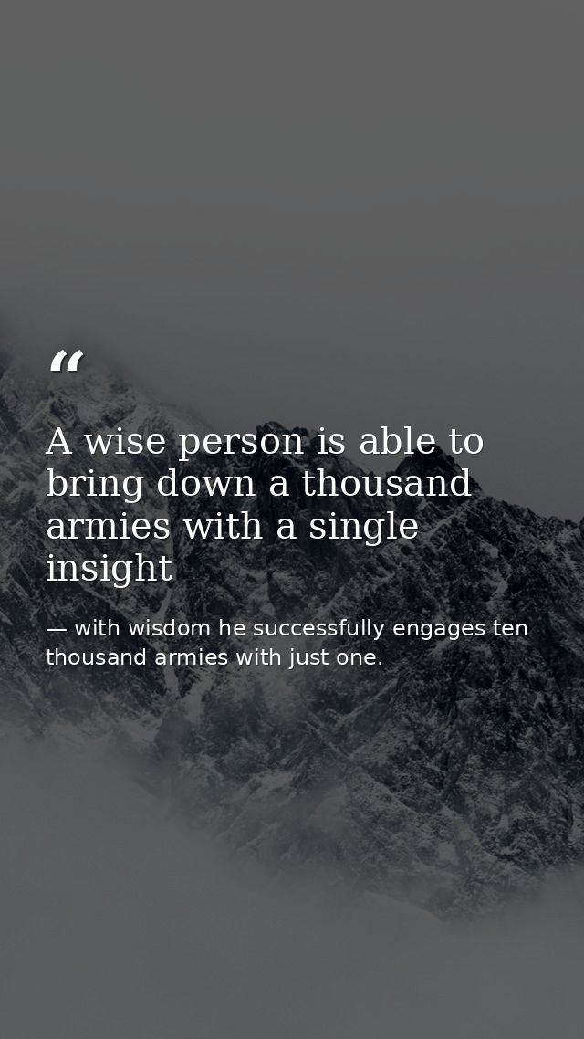 A wise person is able to bring down a thousand armies with a single insight — with wisdom he successfully engages ten thousand armies with just one.