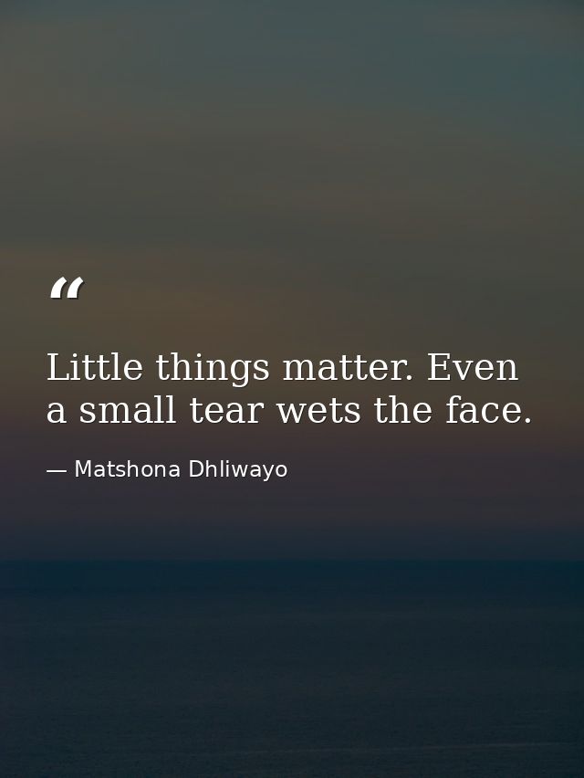Little things matter. Even a small tear wets the face. — Matshona Dhliwayo