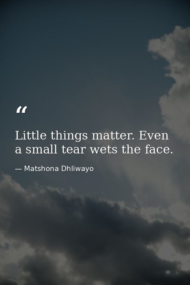 Little things matter. Even a small tear wets the face. — Matshona Dhliwayo