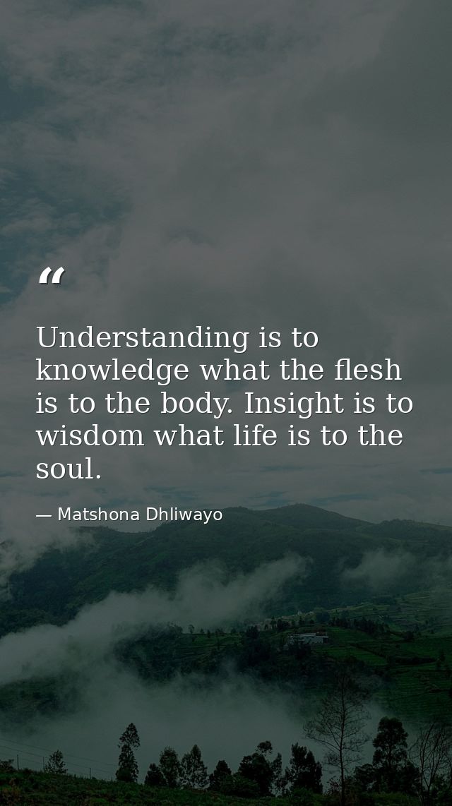 Understanding is to knowledge what the flesh is to the body. Insight is to wisdom what life is to the soul. — Matshona Dhliwayo