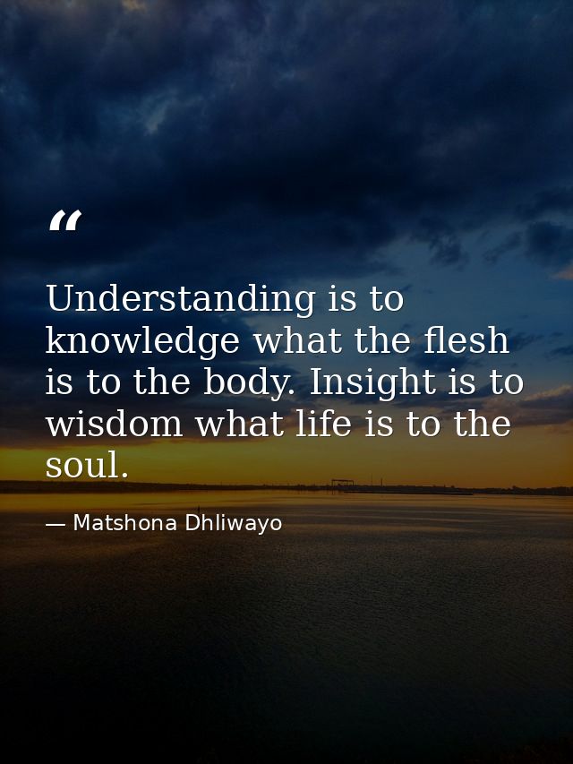 Understanding is to knowledge what the flesh is to the body. Insight is to wisdom what life is to the soul. — Matshona Dhliwayo