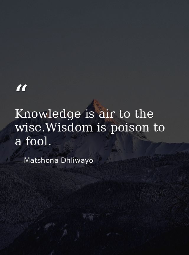 Knowledge is air to the wise.Wisdom is poison to a fool. — Matshona Dhliwayo