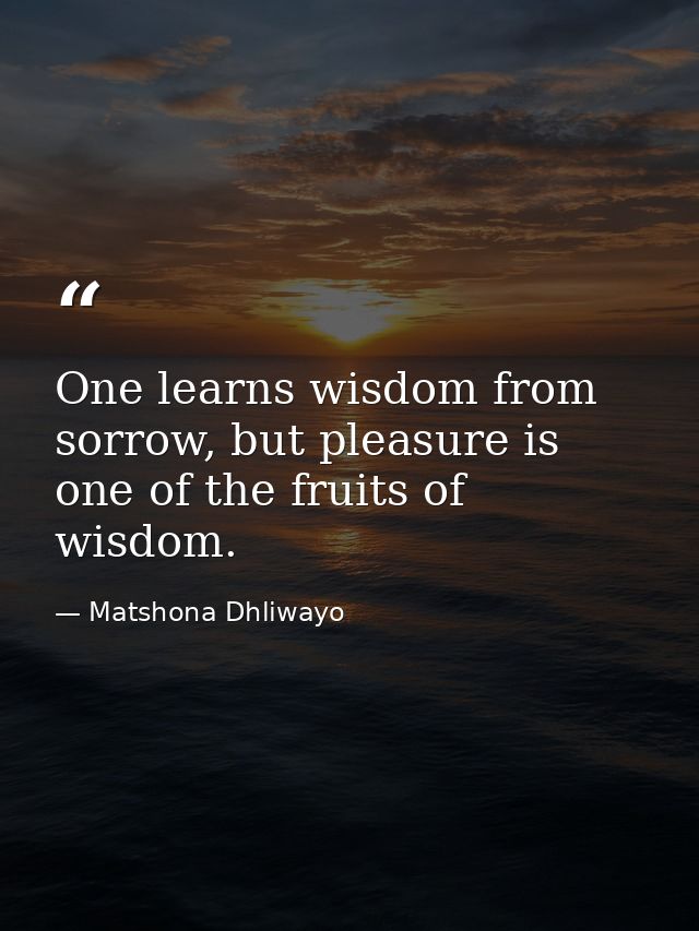 One learns wisdom from sorrow, but pleasure is one of the fruits of wisdom. — Matshona Dhliwayo