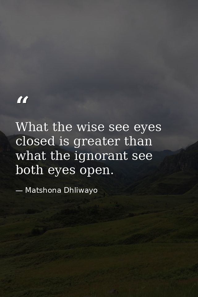 What the wise see eyes closed is greater than what the ignorant see both eyes open. — Matshona Dhliwayo