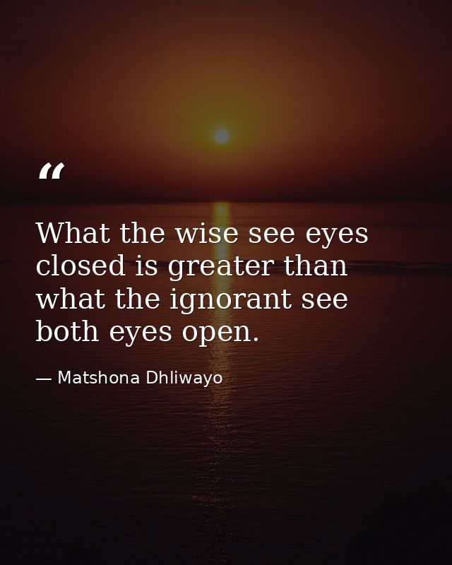 What the wise see eyes closed is greater than what the ignorant see both eyes open. — Matshona Dhliwayo