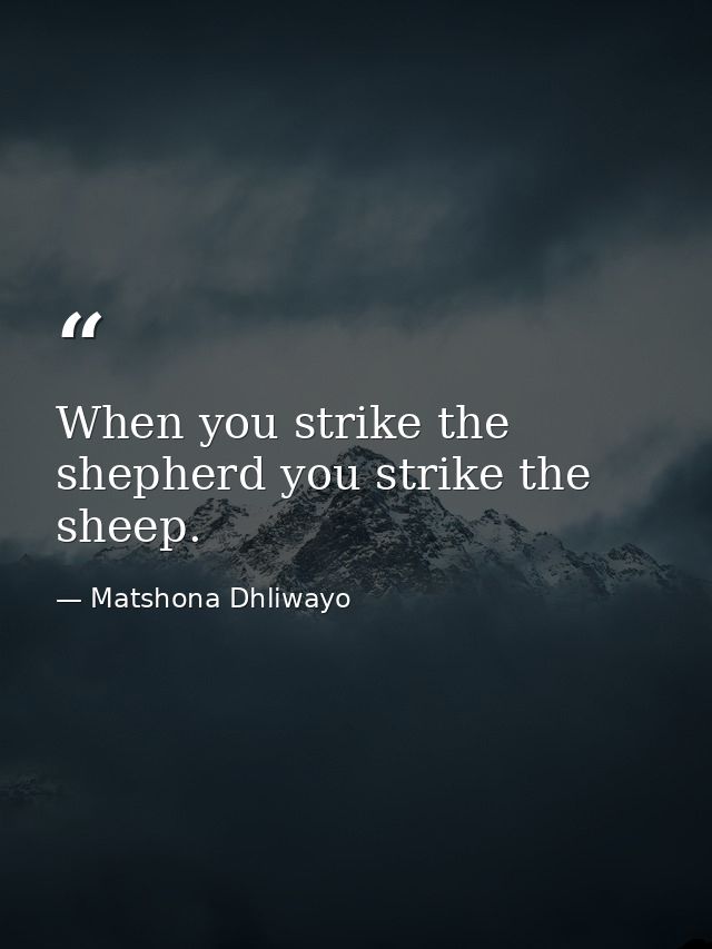 When you strike the shepherd you strike the sheep. — Matshona Dhliwayo