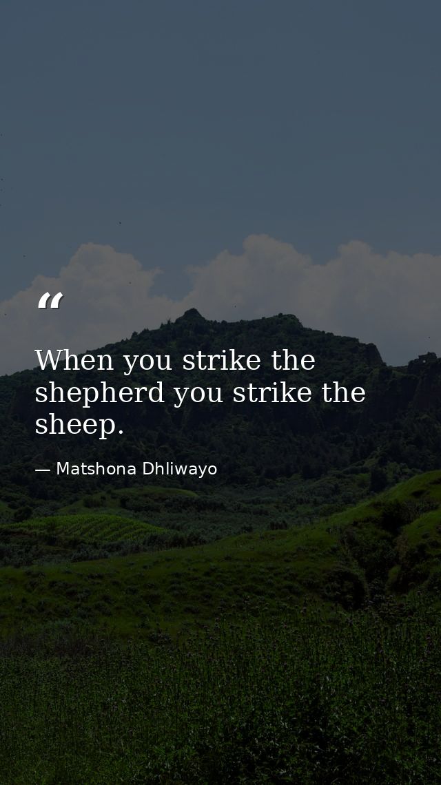 When you strike the shepherd you strike the sheep. — Matshona Dhliwayo