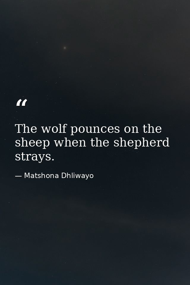 The wolf pounces on the sheep when the shepherd strays. — Matshona Dhliwayo