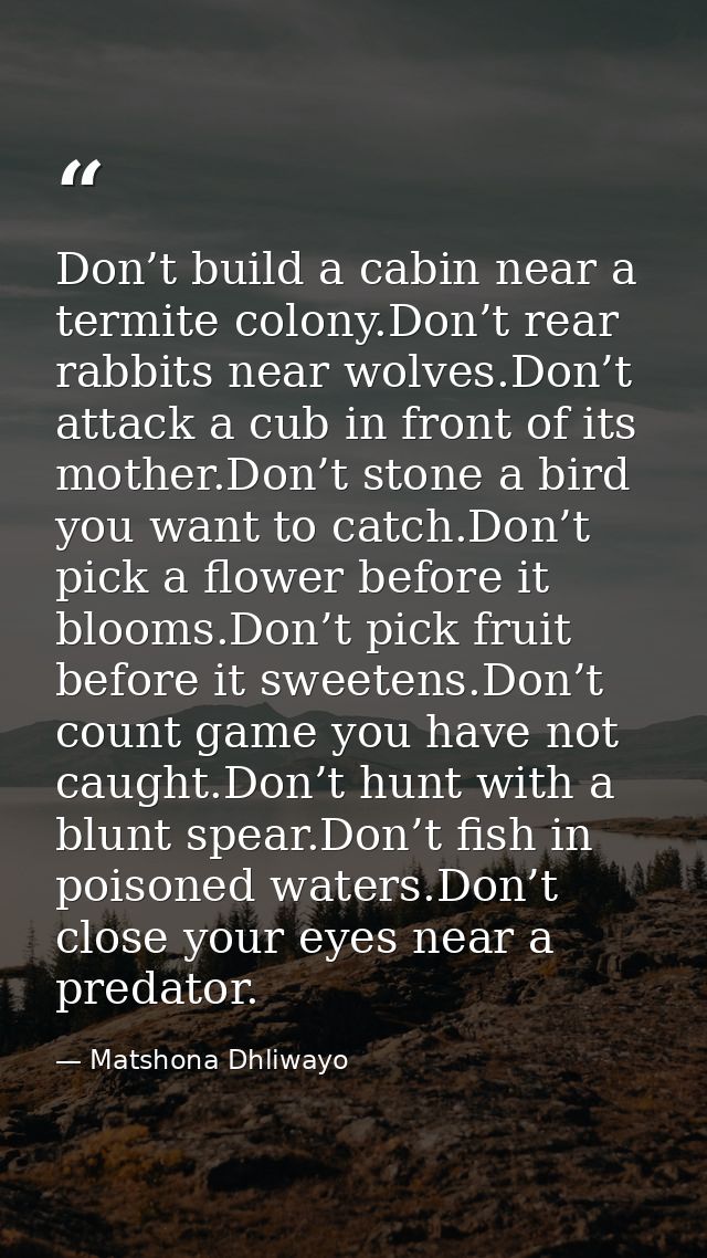 Don’t build a cabin near a termite colony.Don’t rear rabbits near wolves.Don’t attack a cub in front of its mother.Don’t — Matshona Dhliwayo