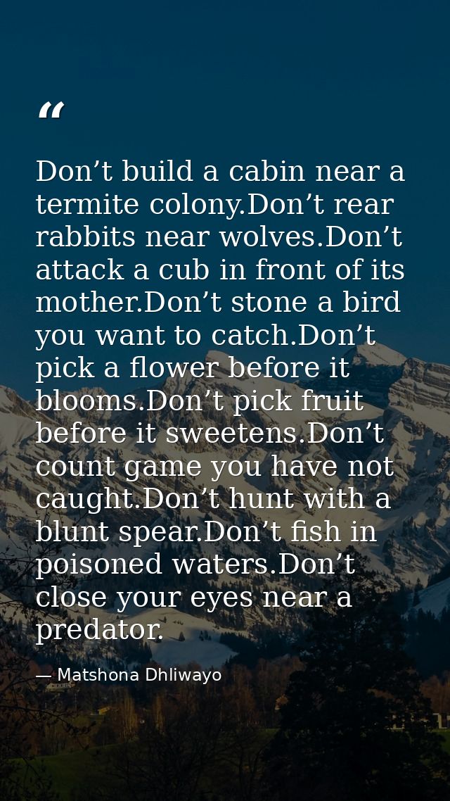 Don’t build a cabin near a termite colony.Don’t rear rabbits near wolves.Don’t attack a cub in front of its mother.Don’t — Matshona Dhliwayo