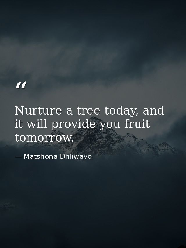 Nurture a tree today, and it will provide you fruit tomorrow. — Matshona Dhliwayo
