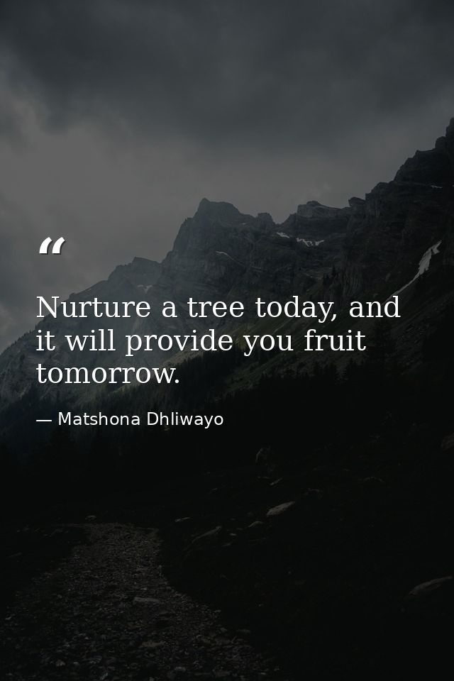 Nurture a tree today, and it will provide you fruit tomorrow. — Matshona Dhliwayo