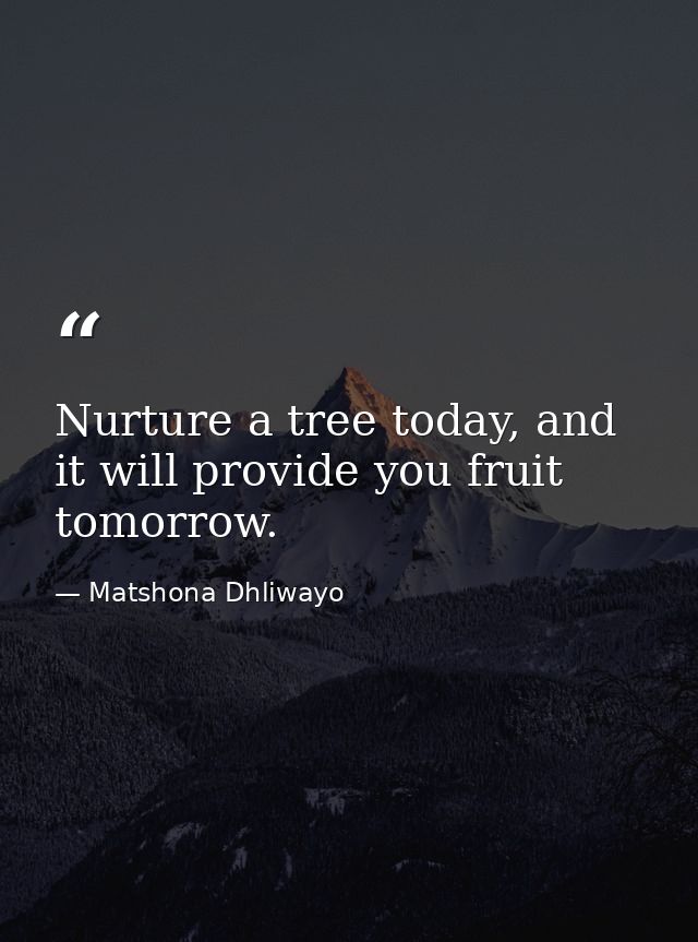Nurture a tree today, and it will provide you fruit tomorrow. — Matshona Dhliwayo