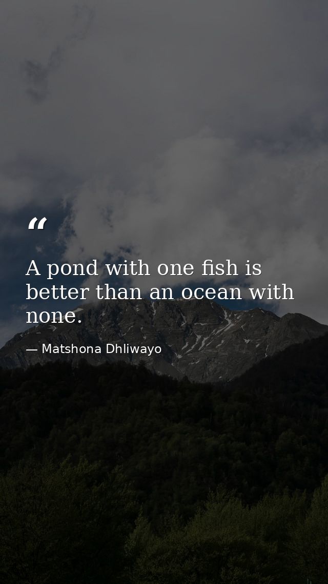 A pond with one fish is better than an ocean with none. — Matshona Dhliwayo