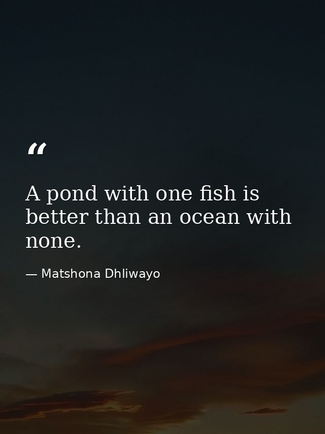 A pond with one fish is better than an ocean with none. — Matshona Dhliwayo