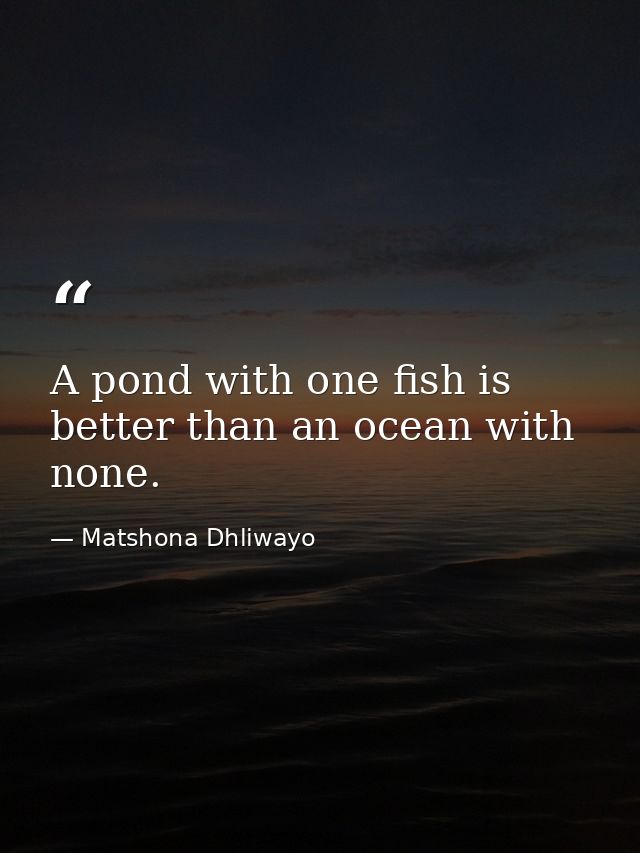 A pond with one fish is better than an ocean with none. — Matshona Dhliwayo