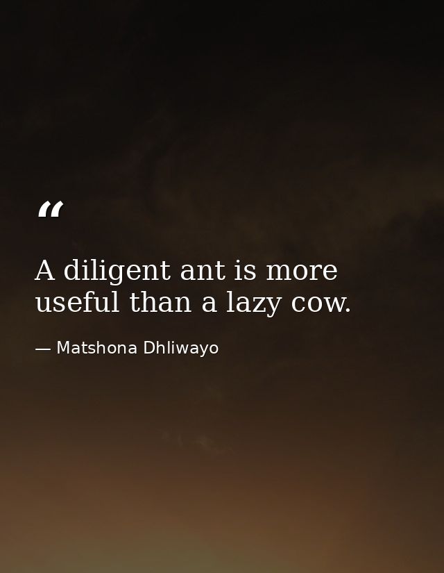 A diligent ant is more useful than a lazy cow. — Matshona Dhliwayo