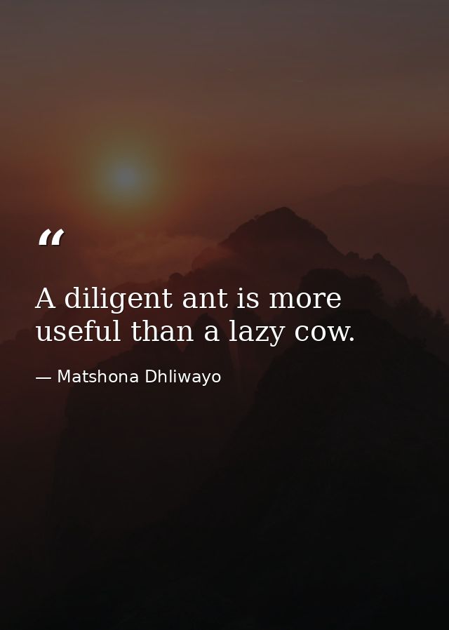 A diligent ant is more useful than a lazy cow. — Matshona Dhliwayo