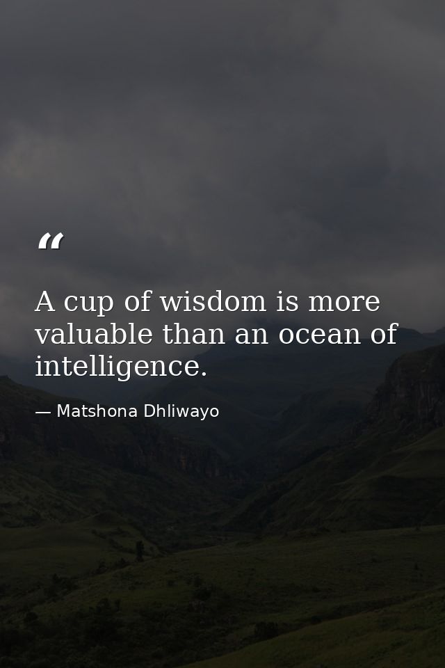 A cup of wisdom is more valuable than an ocean of intelligence. — Matshona Dhliwayo
