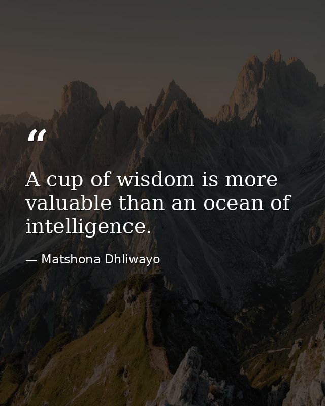 A cup of wisdom is more valuable than an ocean of intelligence. — Matshona Dhliwayo