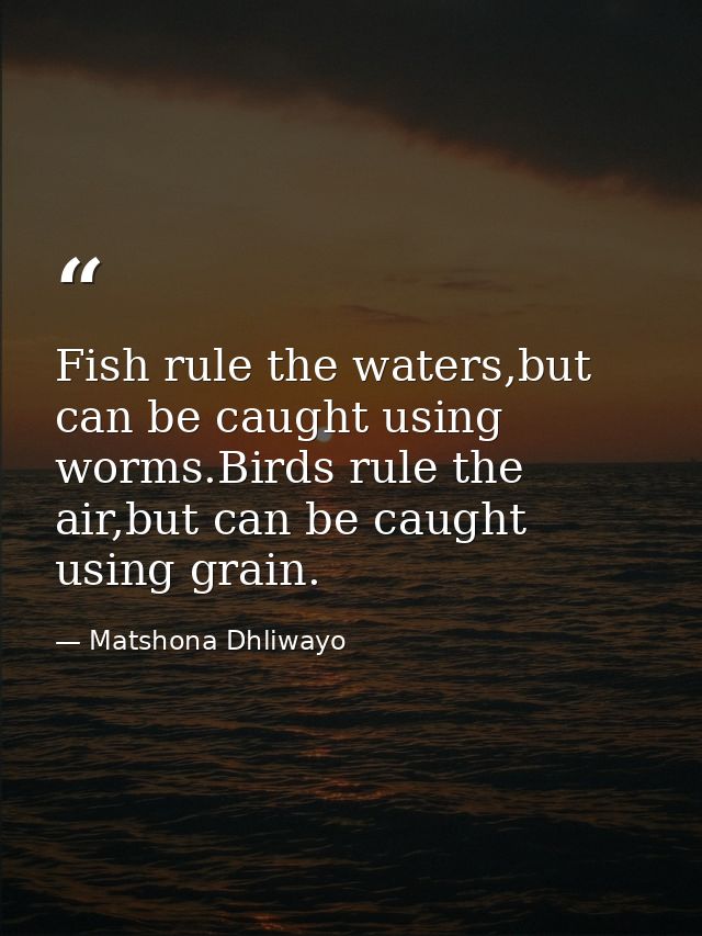 Fish rule the waters,but can be caught using worms.Birds rule the air,but can be caught using grain. — Matshona Dhliwayo