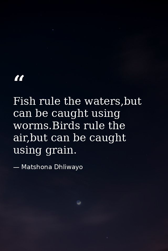 Fish rule the waters,but can be caught using worms.Birds rule the air,but can be caught using grain. — Matshona Dhliwayo