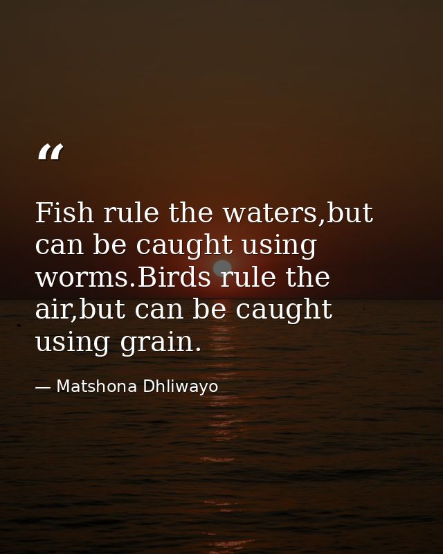 Fish rule the waters,but can be caught using worms.Birds rule the air,but can be caught using grain. — Matshona Dhliwayo