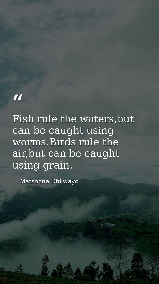 Fish rule the waters,but can be caught using worms.Birds rule the air,but can be caught using grain. — Matshona Dhliwayo