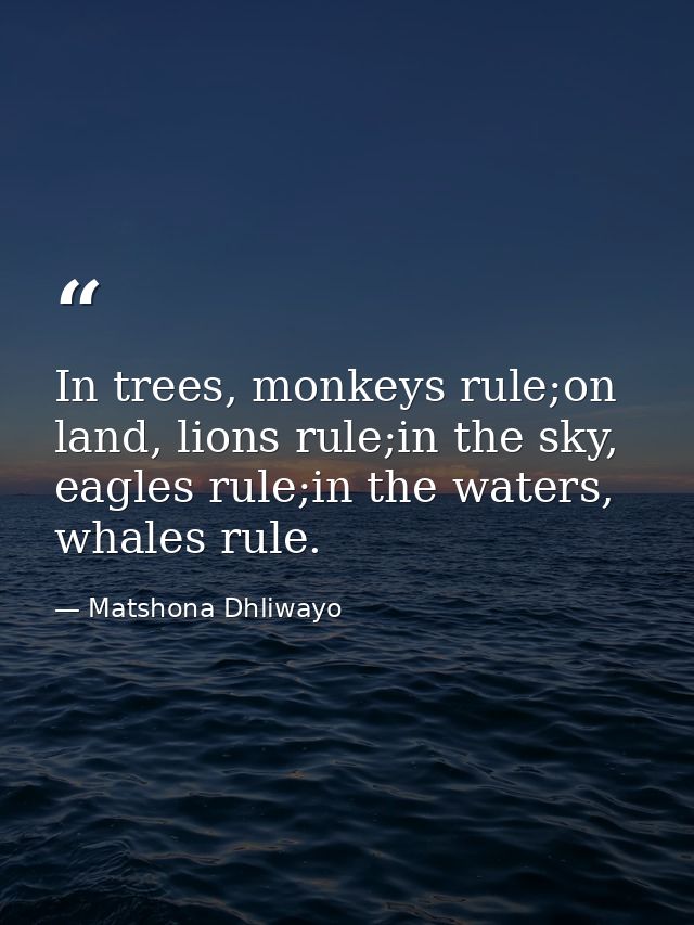 In trees, monkeys rule;on land, lions rule;in the sky, eagles rule;in the waters, whales rule. — Matshona Dhliwayo